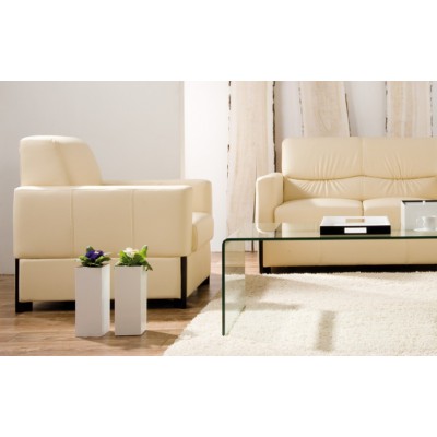 Kolekcija PRIMULA Kolekcija PRIMULA